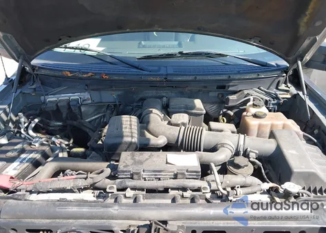 2010 Ford F-150 Fx4/Lariat/Xl/Xlt z USA, uszkodzony, nr VIN 1FTFX1EV5AFB63662